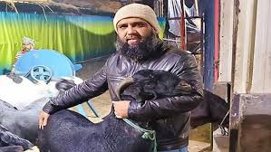 সাদিক অ্যাগ্রোর চেয়ারম্যান ইমরান গ্রেফতার
