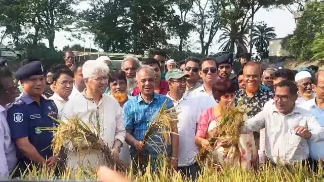 আড়িয়াল বিলে ধান কাটায় অংশ নেন দুই উপদেষ্টা